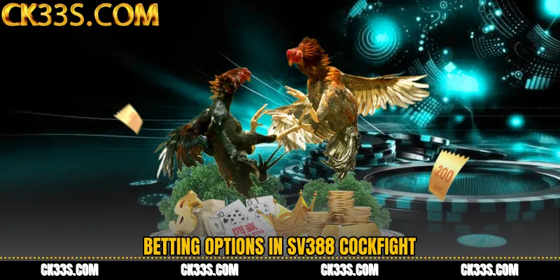 Betting Options in SV388 Cockfight