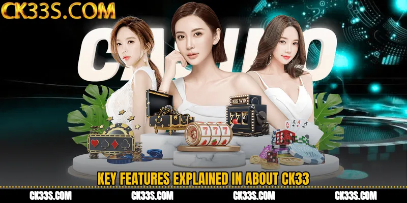 Key Features Explained in About CK33