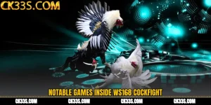 WS168 Cockfight CK33 Arena - Data-Driven Thrills