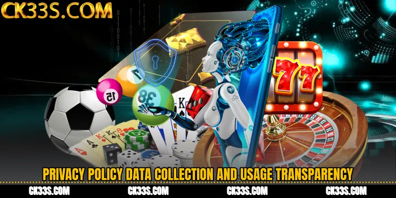 Privacy Policy Data Collection and Usage Transparency