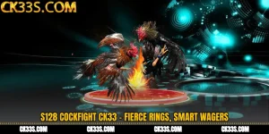 S128 Cockfight CK33 - Fierce Rings, Smart Wagers