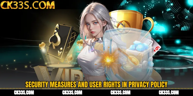 Security Measures and User Rights in Privacy Policy