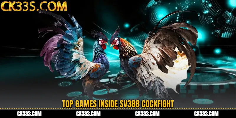 Top Games Inside SV388 Cockfight